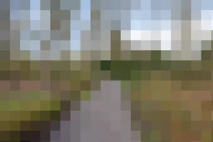 Burgemeester de van der Schuerenlaan 1 Oosterhout thumbnail 63
