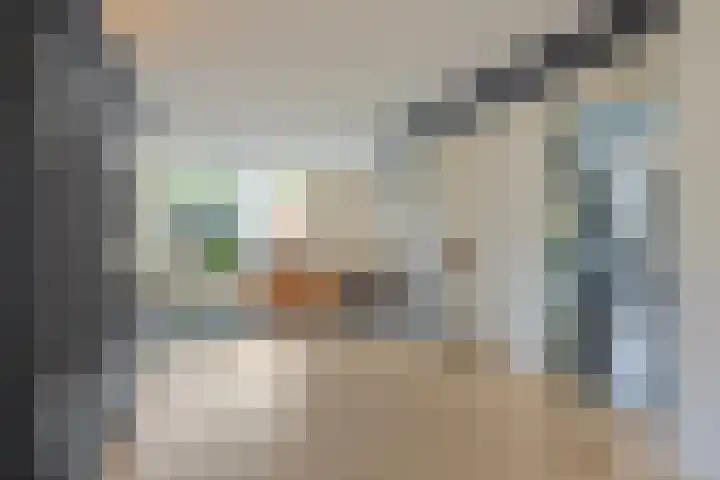 Burgemeester de van der Schuerenlaan 1 Oosterhout thumbnail 9