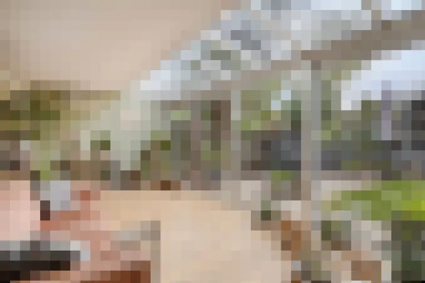 Burgemeester de van der Schuerenlaan 7 Oosterhout thumbnail 18