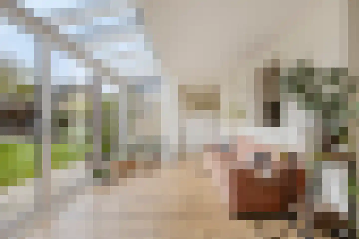 Burgemeester de van der Schuerenlaan 7 Oosterhout thumbnail 19