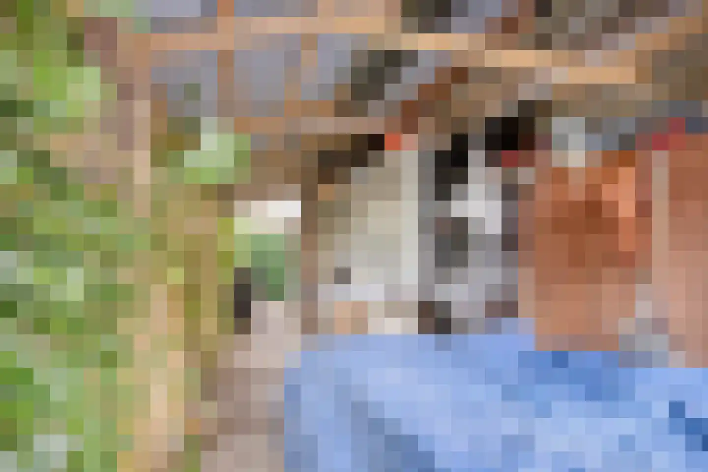 Burgemeester de van der Schuerenlaan 7 Oosterhout thumbnail 29
