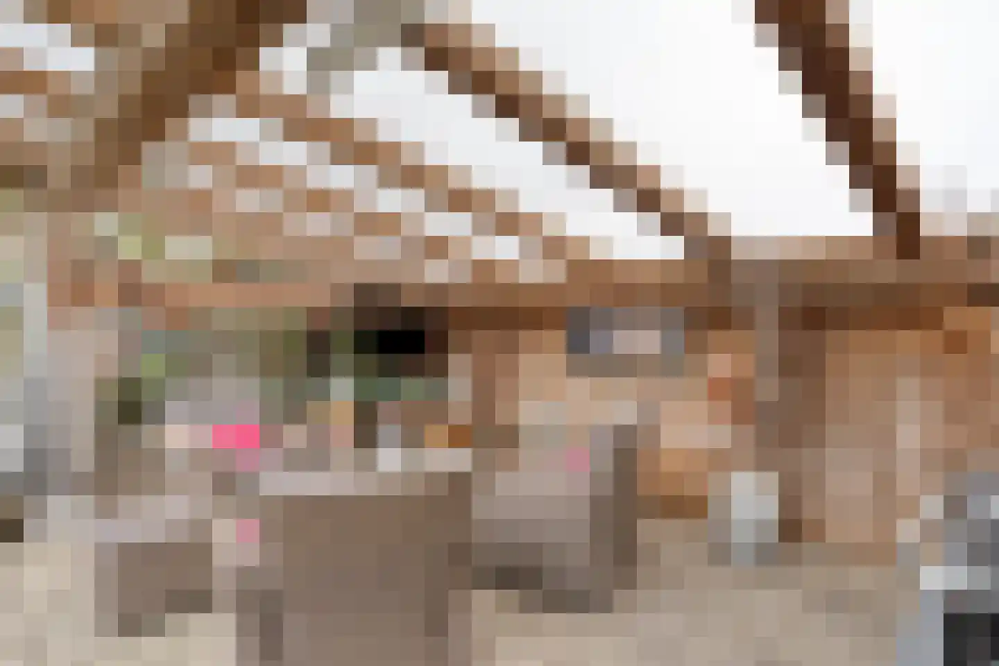 Burgemeester de van der Schuerenlaan 7 Oosterhout thumbnail 31