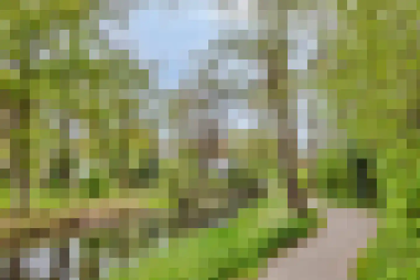 Burgemeester de van der Schuerenlaan 7 Oosterhout thumbnail 4