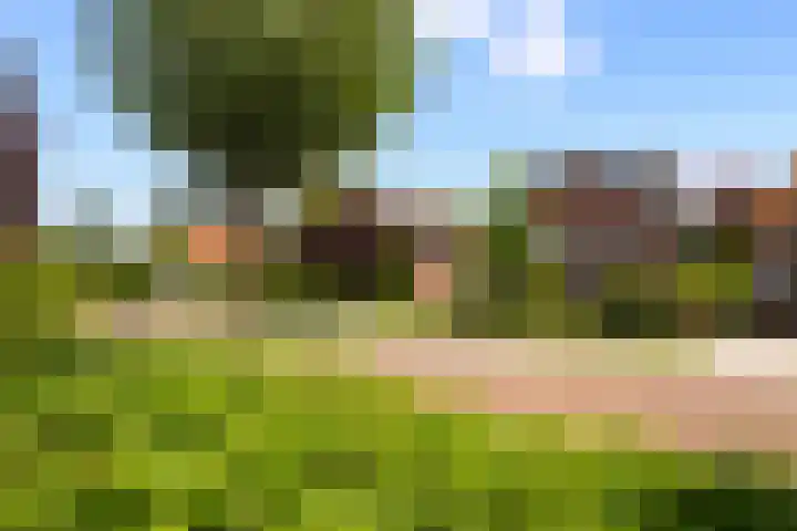 Burgemeester de van der Schuerenstraat 3 Waalwijk thumbnail 4