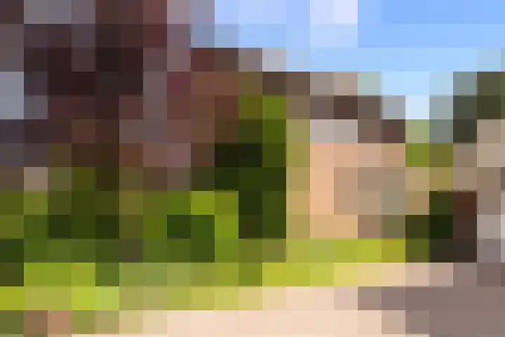 Burgemeester de van der Schuerenstraat 3 Waalwijk thumbnail 5