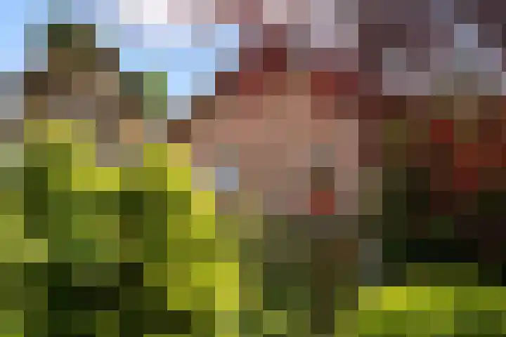 Burgemeester de van der Schuerenstraat 3 Waalwijk thumbnail 6