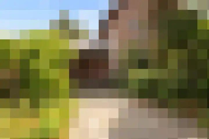 Burgemeester de van der Schuerenstraat 3 Waalwijk thumbnail 7