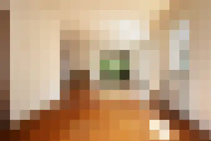 Burgemeester de van der Schuerenstraat 3 Waalwijk thumbnail 9