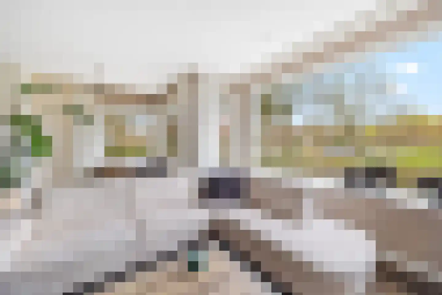 Burgemeester de Villeneuvesingel 41 Rotterdam thumbnail 13