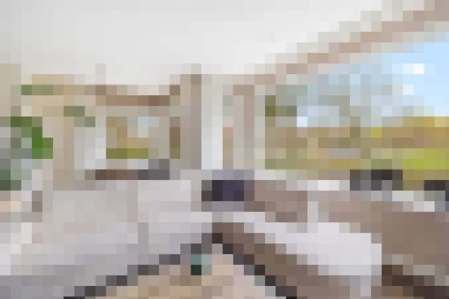 Burgemeester de Villeneuvesingel 41 Rotterdam thumbnail 13