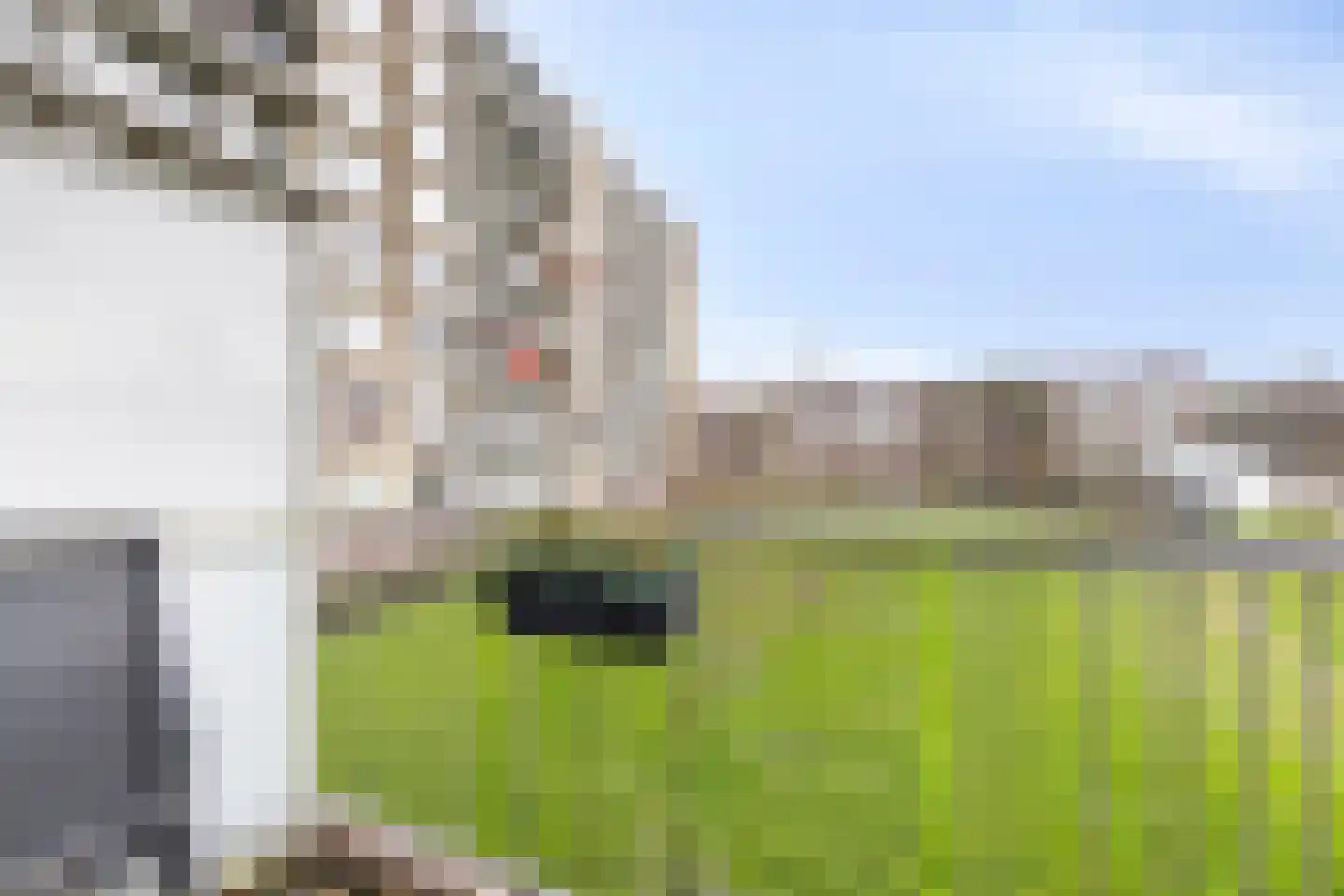 Burgemeester De Vlugtlaan 219 Amsterdam thumbnail 19