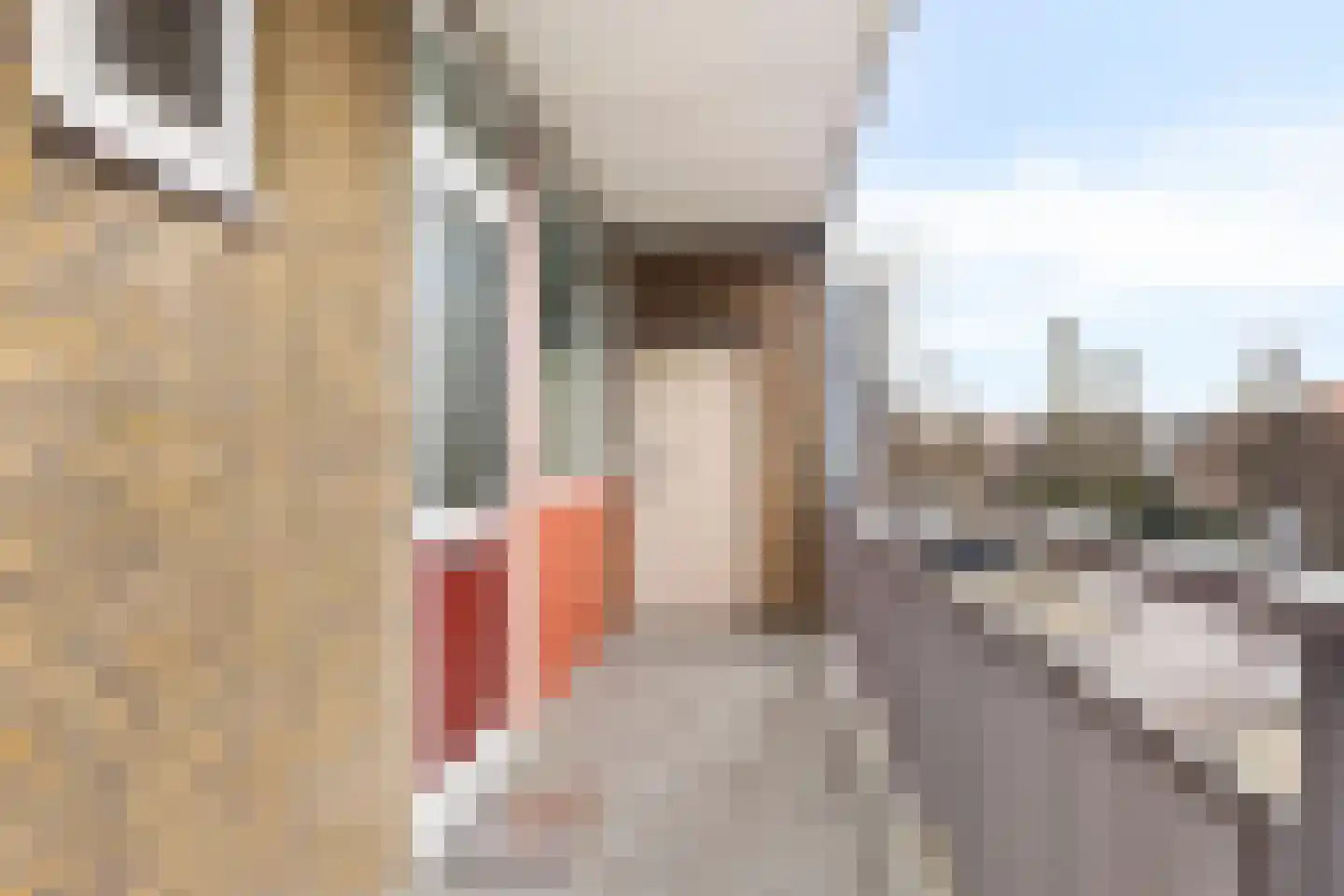 Burgemeester De Vlugtlaan 219 Amsterdam thumbnail 7