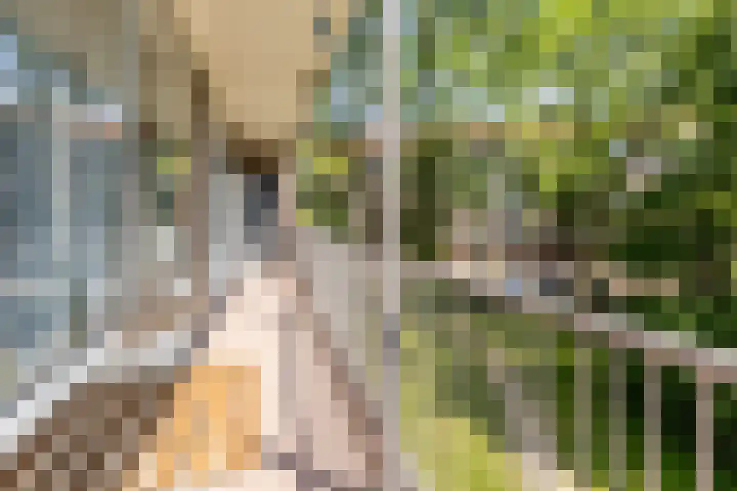 Burgemeester De Vlugtlaan 221 Amsterdam thumbnail 27