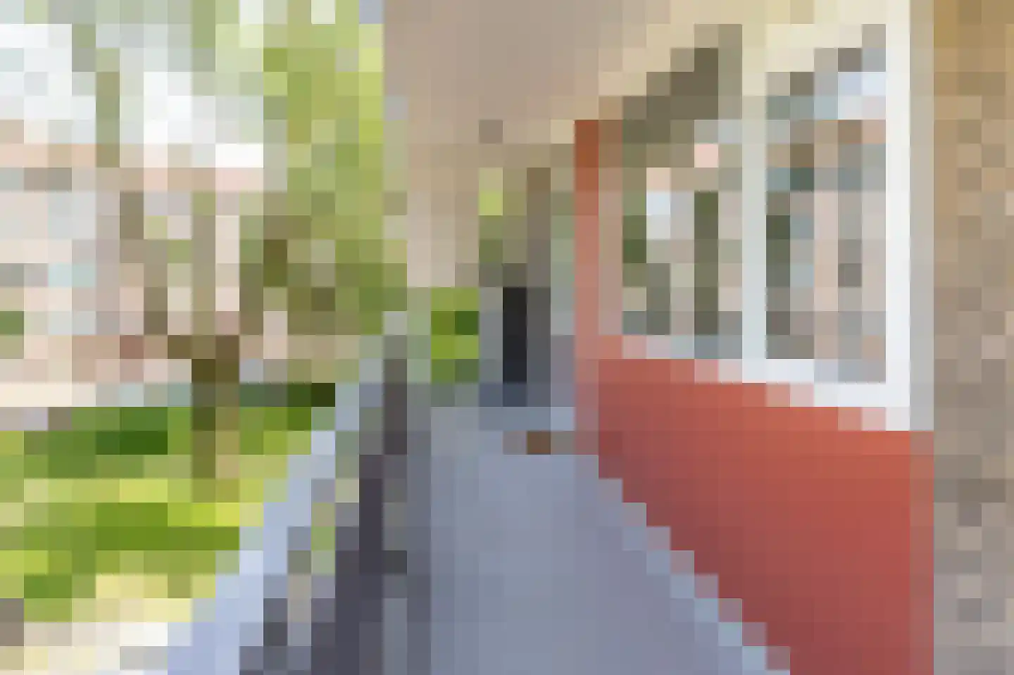 Burgemeester De Vlugtlaan 221 Amsterdam thumbnail 32