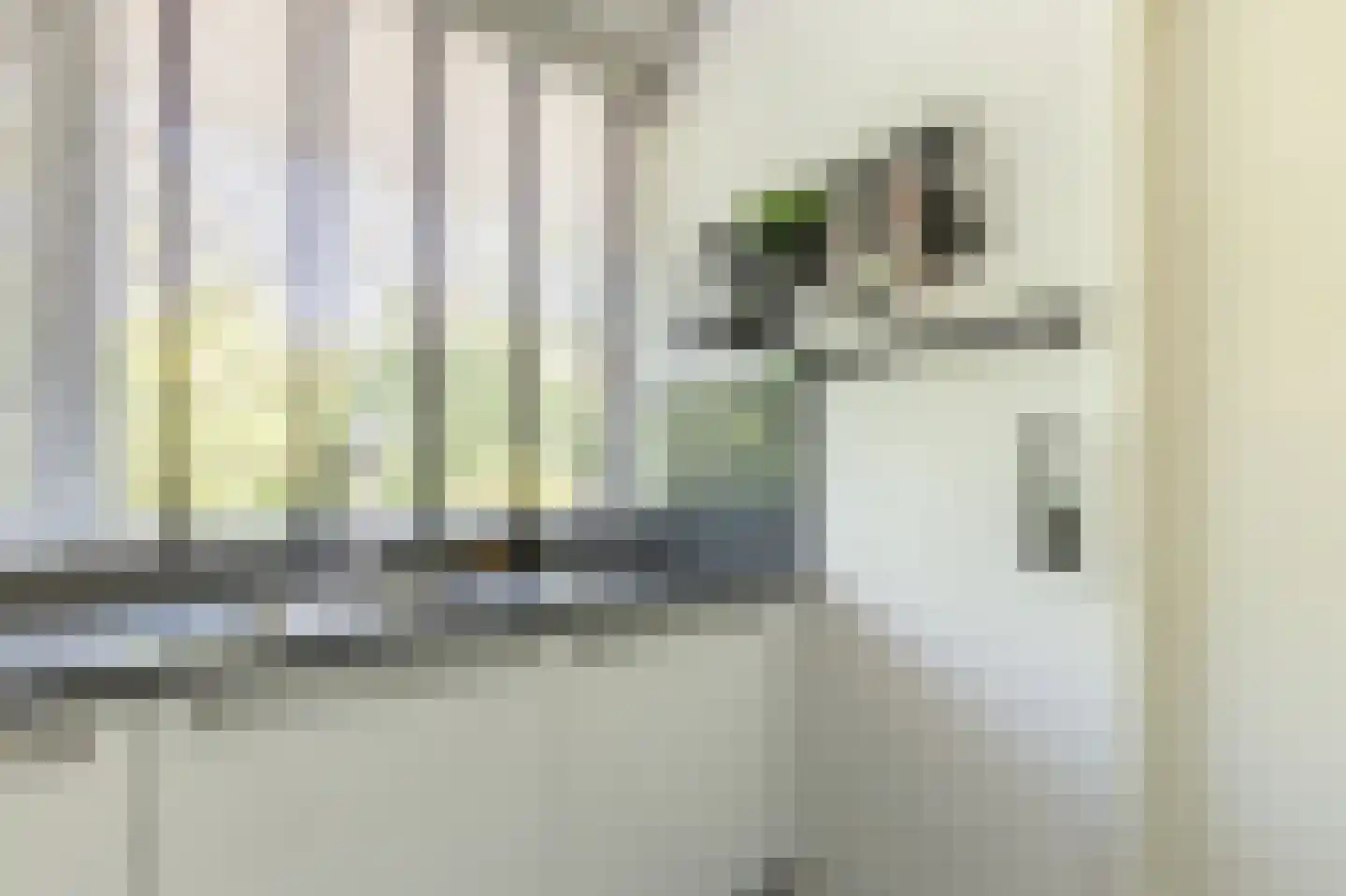 Burgemeester De Vlugtlaan 221 Amsterdam thumbnail 8