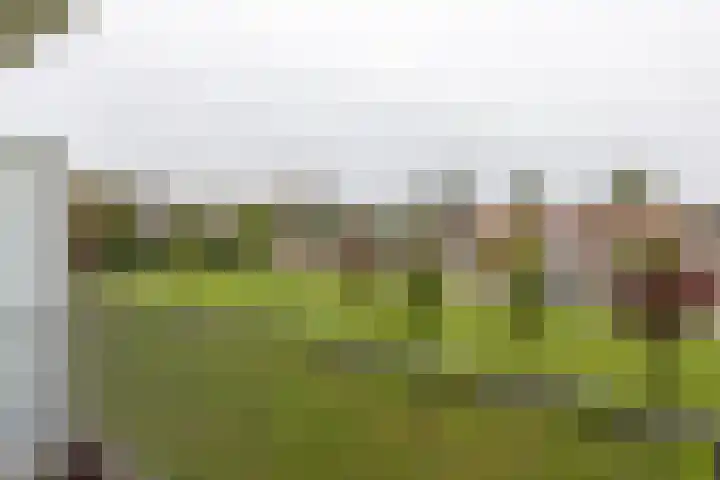 Burgemeester De Vlugtlaan 237 Amsterdam thumbnail 13