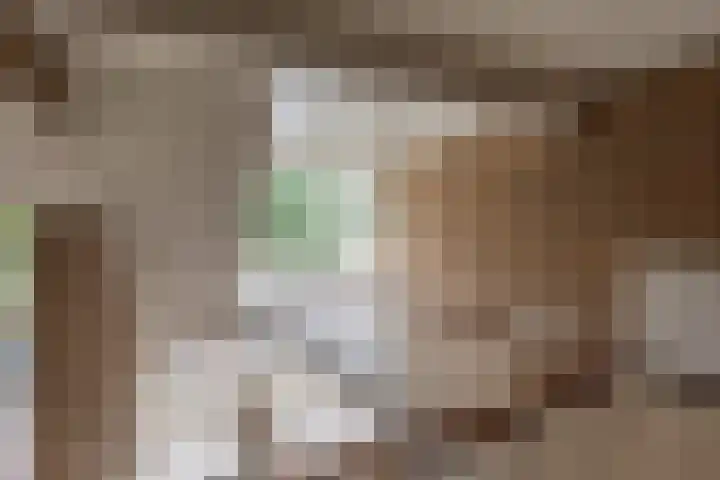 Burgemeester De Vlugtlaan 237 Amsterdam thumbnail 26