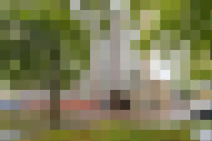 Burgemeester De Vlugtlaan 237 Amsterdam thumbnail 28