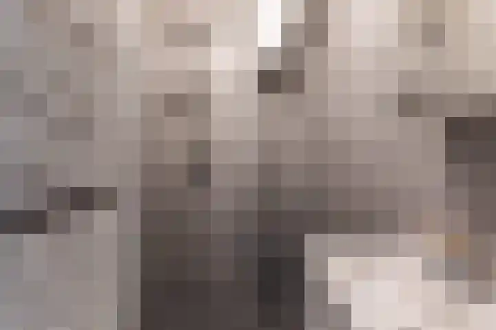 Burgemeester De Vlugtlaan 237 Amsterdam thumbnail 8