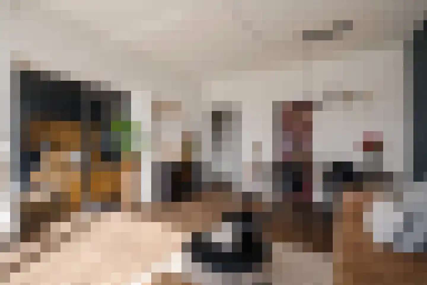 Burgemeester De Vlugtlaan 251 Amsterdam thumbnail 18