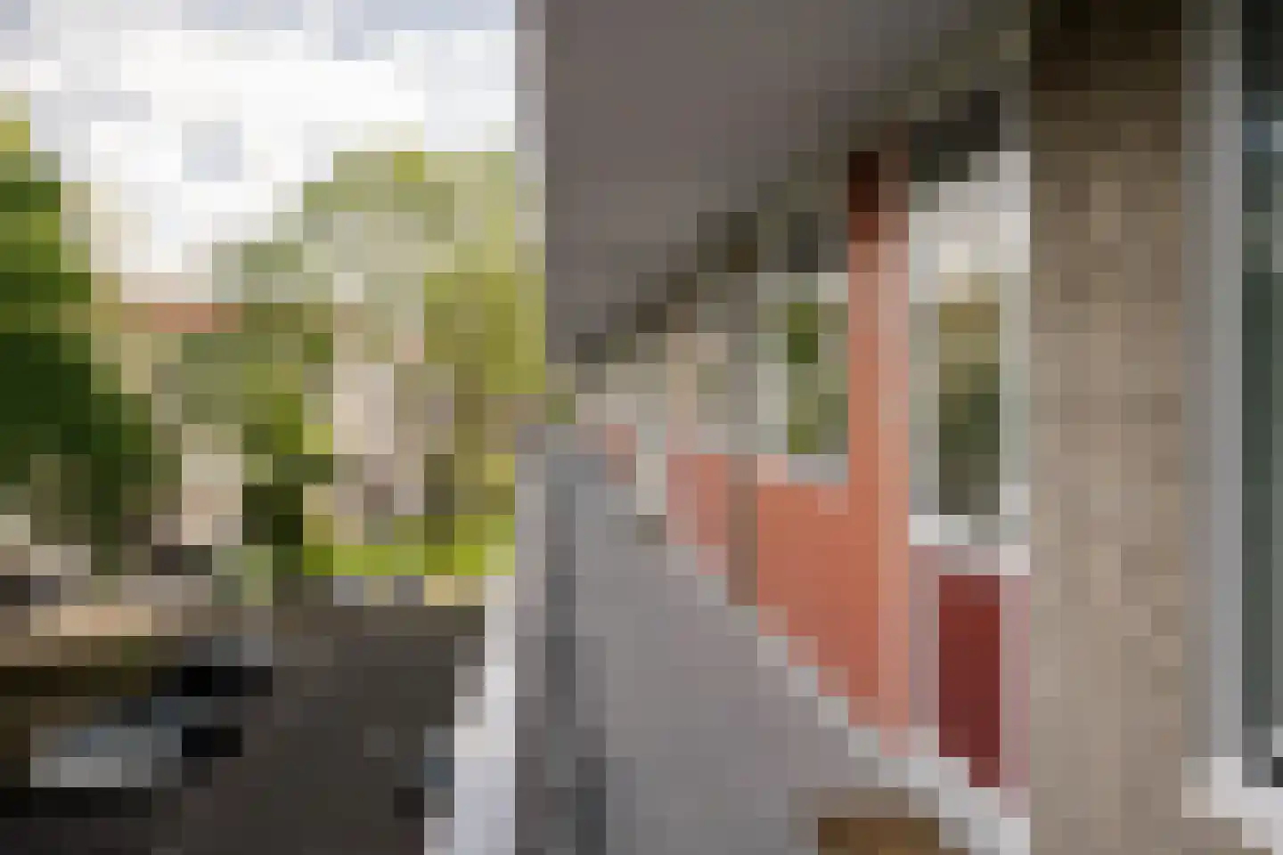 Burgemeester De Vlugtlaan 251 Amsterdam thumbnail 32