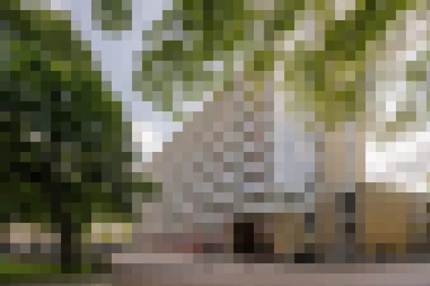 Burgemeester De Vlugtlaan 251 Amsterdam thumbnail 34