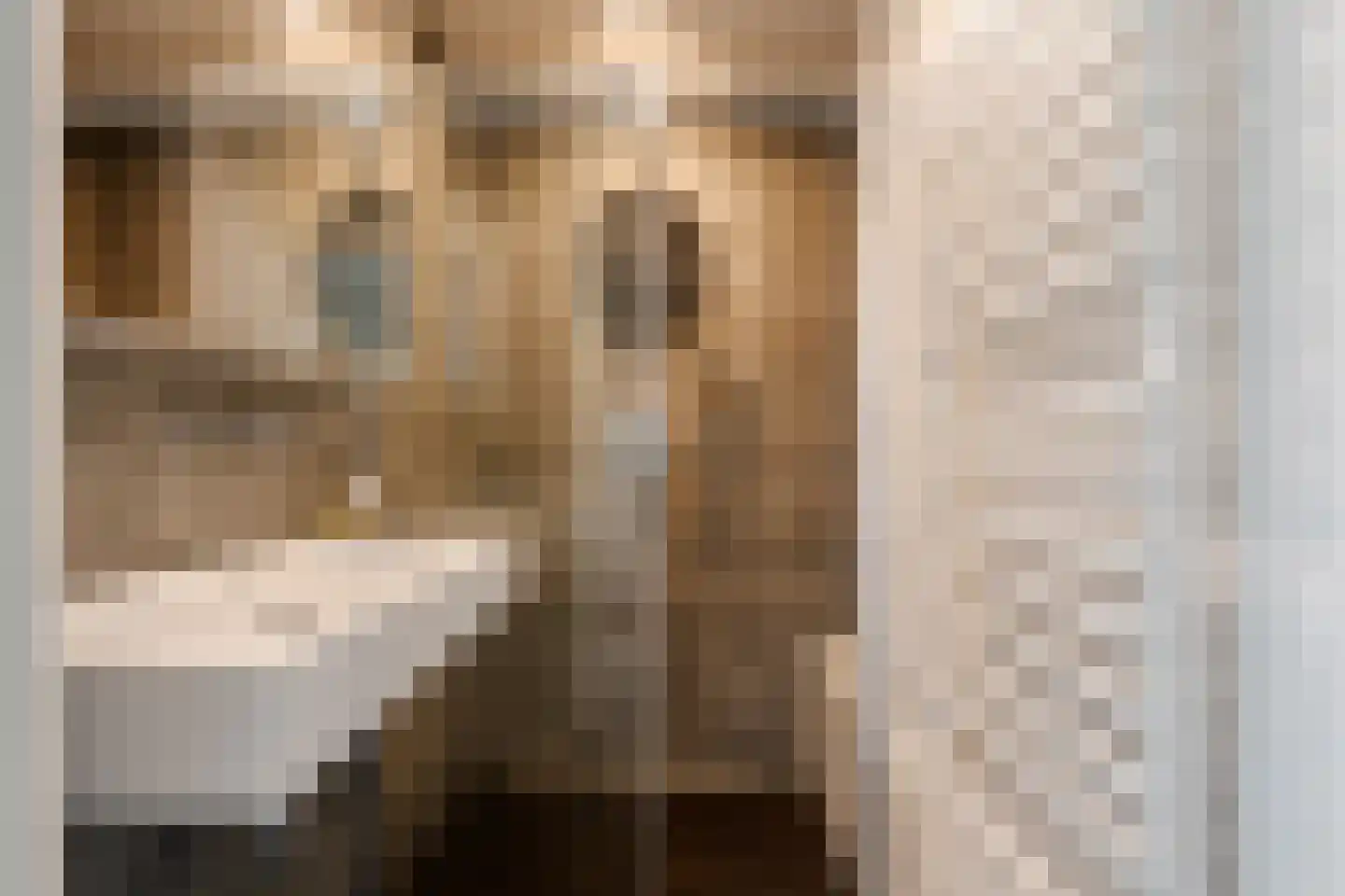 Burgemeester De Vlugtlaan 251 Amsterdam thumbnail 4