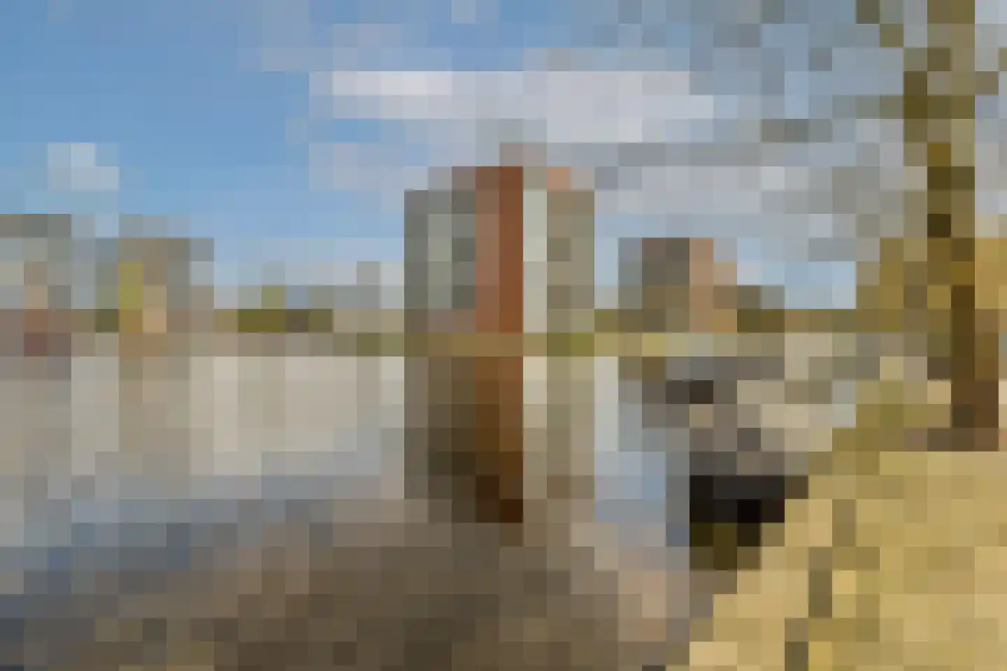 Burgemeester De Vlugtlaan 265 Amsterdam thumbnail 20