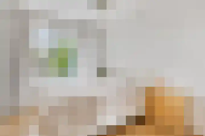 Burgemeester De Vlugtlaan 267 Amsterdam thumbnail 4