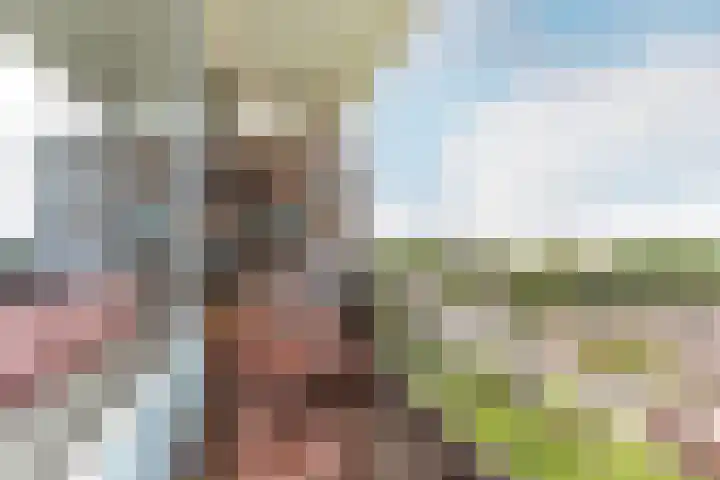 Burgemeester De Vlugtlaan 325 Amsterdam thumbnail 20