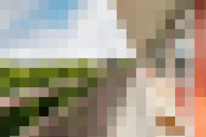 Burgemeester De Vlugtlaan 325 Amsterdam thumbnail 23