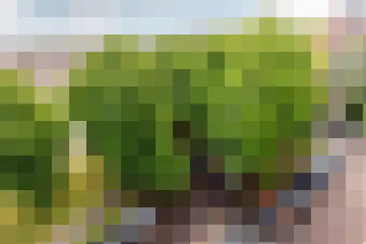 Burgemeester De Vlugtlaan 325 Amsterdam thumbnail 25