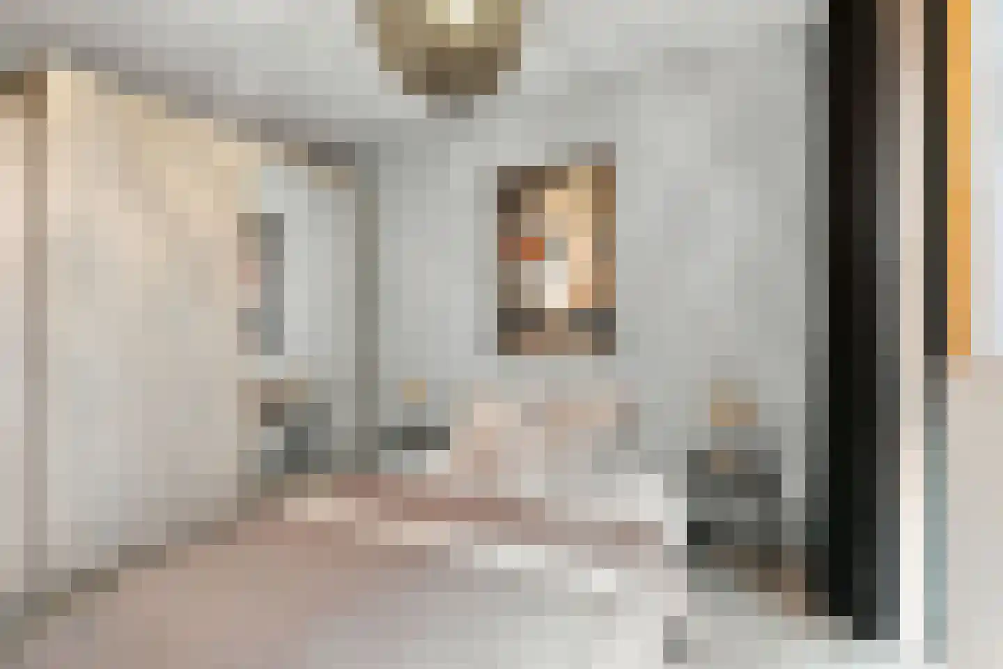 Burgemeester de Voogtlaan 100 Wilnis thumbnail 5
