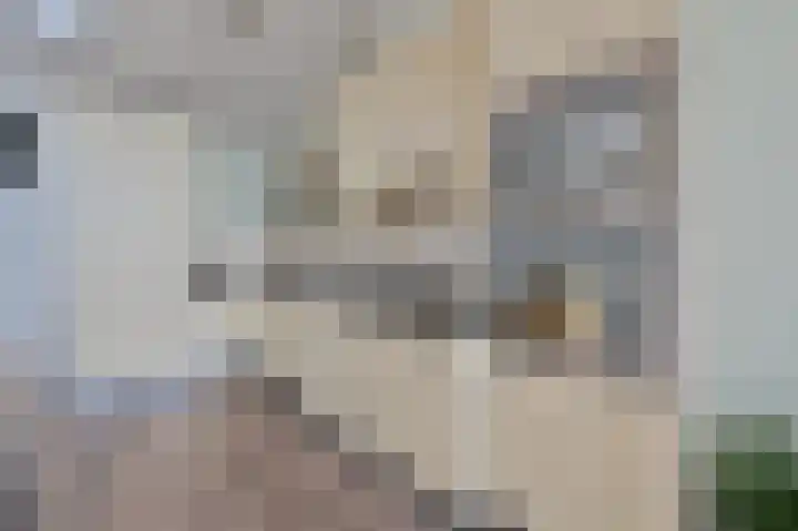 Burgemeester de Voogtlaan 126 Wilnis thumbnail 7