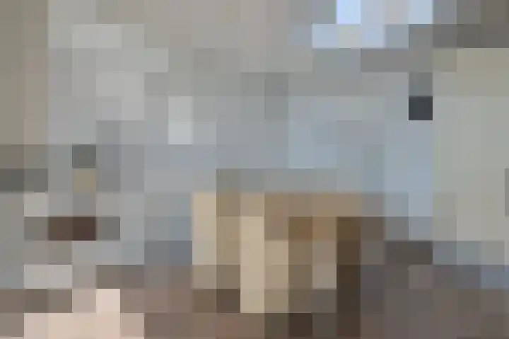 Burgemeester de Voogtlaan 126 Wilnis thumbnail 8