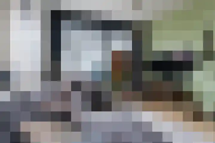 Burgemeester de Voogtlaan 142 Wilnis thumbnail 8