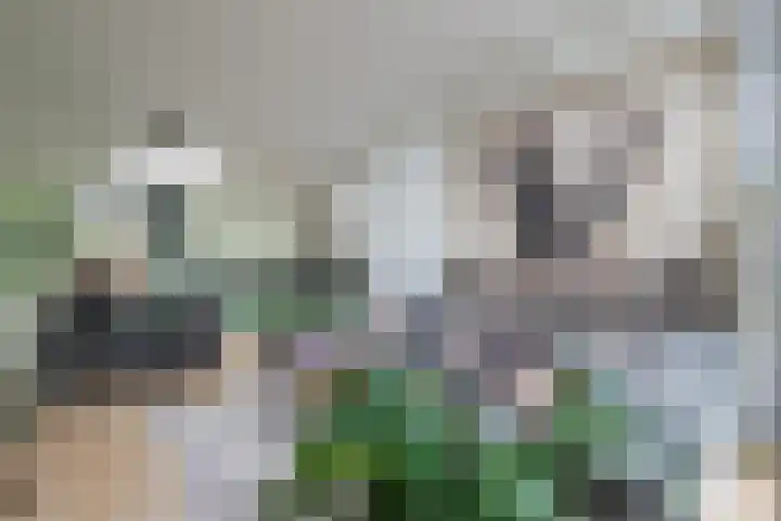 Burgemeester de Voogtlaan 142 Wilnis thumbnail 9