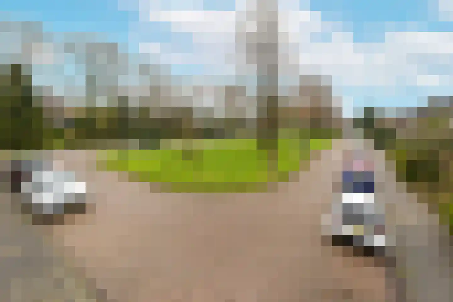 Burgemeester de Voogtlaan 39 Wilnis thumbnail 23