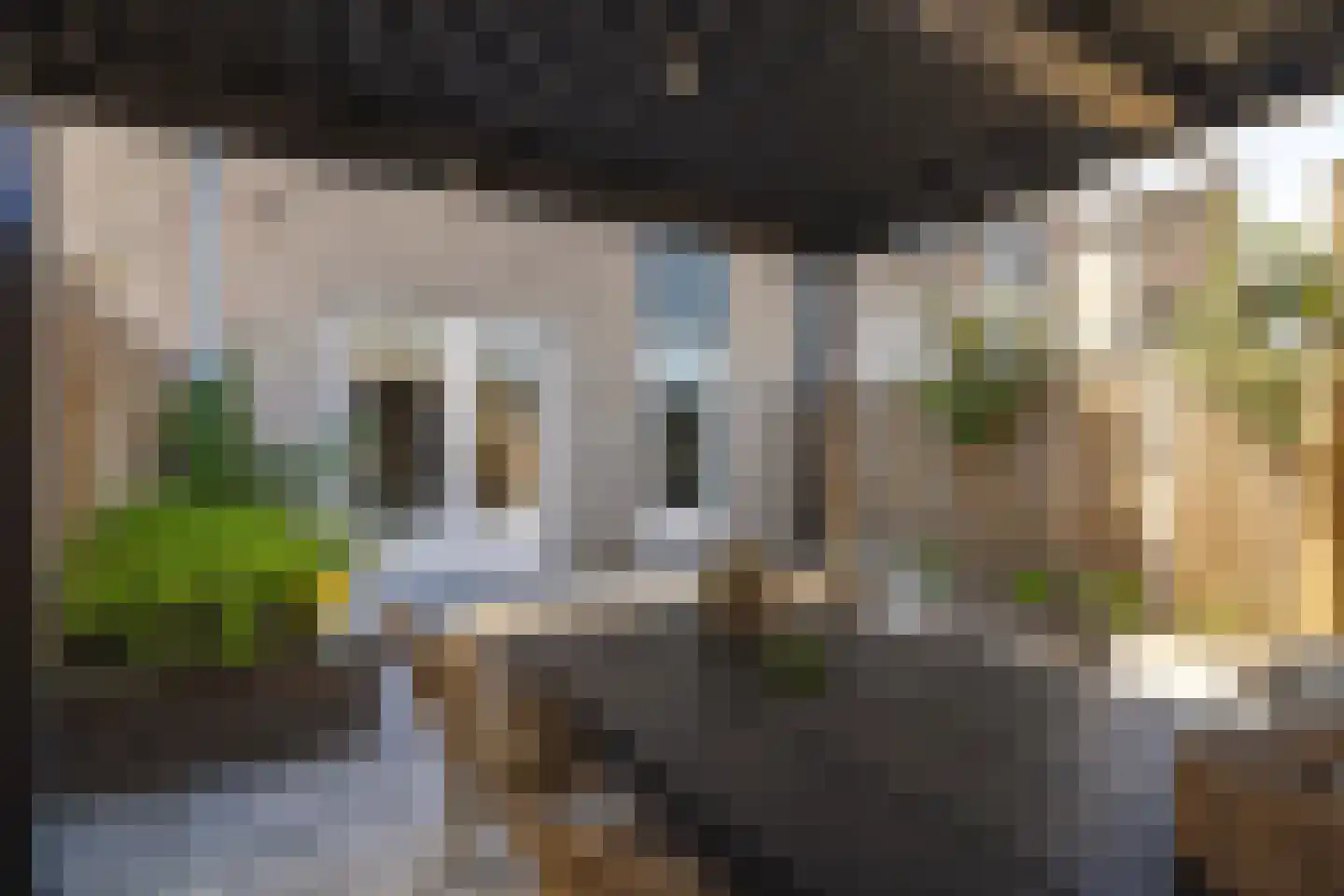 Burgemeester de Weertstraat 16 Rucphen thumbnail 29