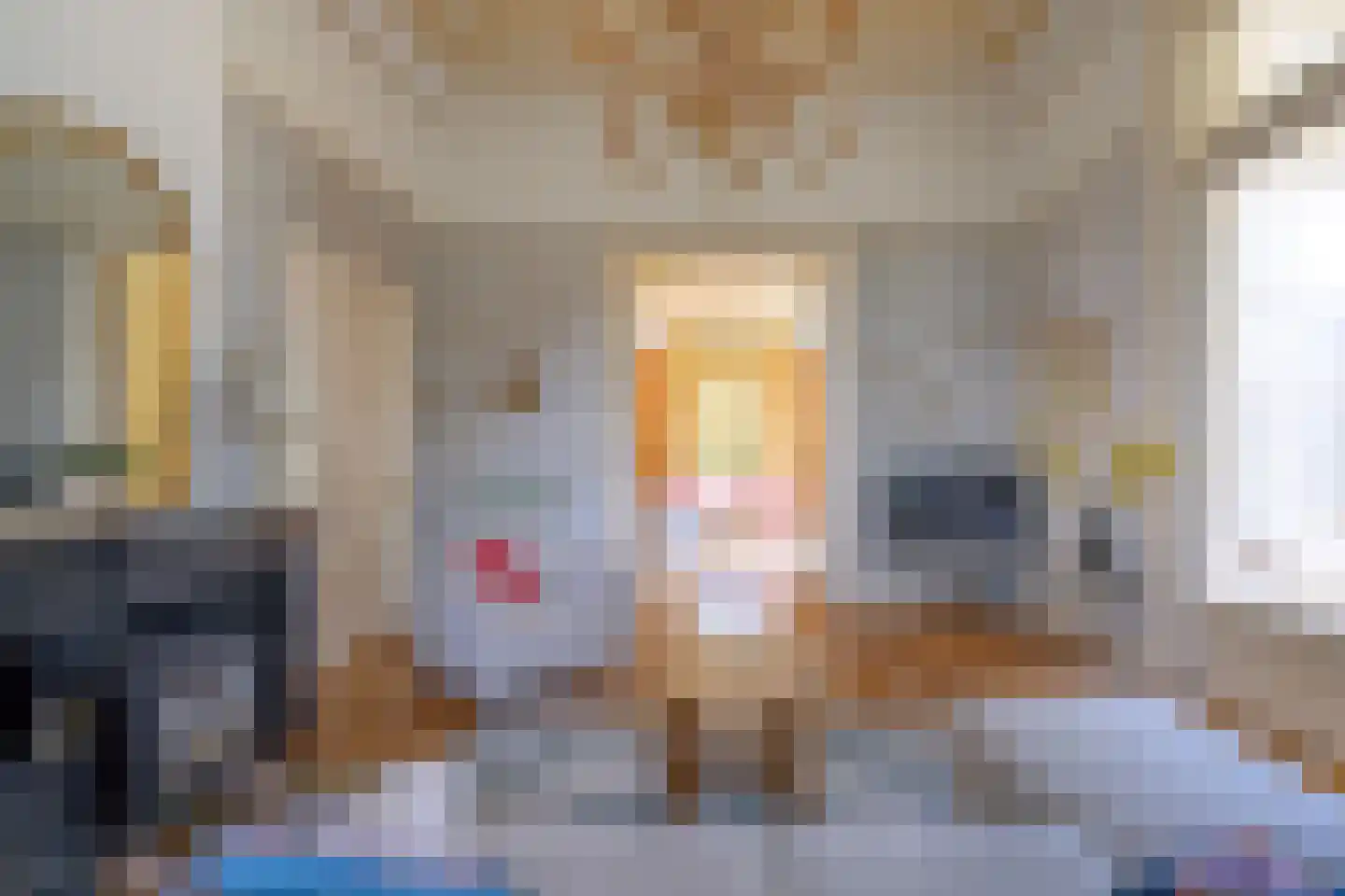 Burgemeester de Wijslaan 6 Brummen thumbnail 12