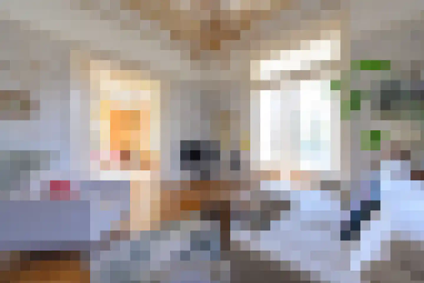 Burgemeester de Wijslaan 6 Brummen thumbnail 13