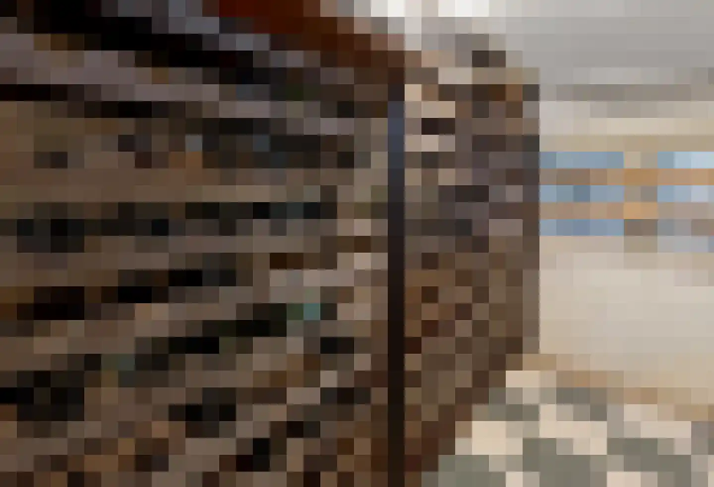 Burgemeester de Wijslaan 6 Brummen thumbnail 19