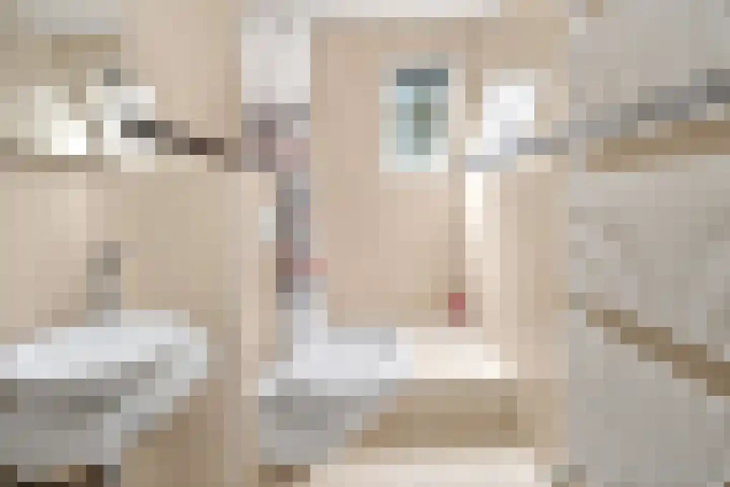 Burgemeester de Wijslaan 6 Brummen thumbnail 30