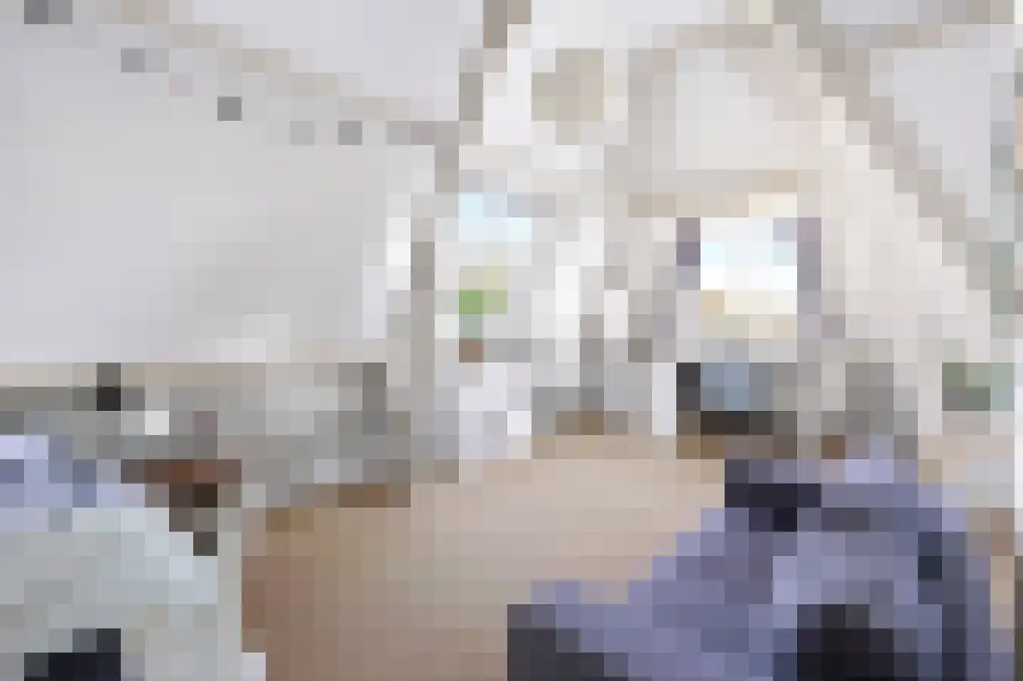 Burgemeester de Wijslaan 6 Brummen thumbnail 37