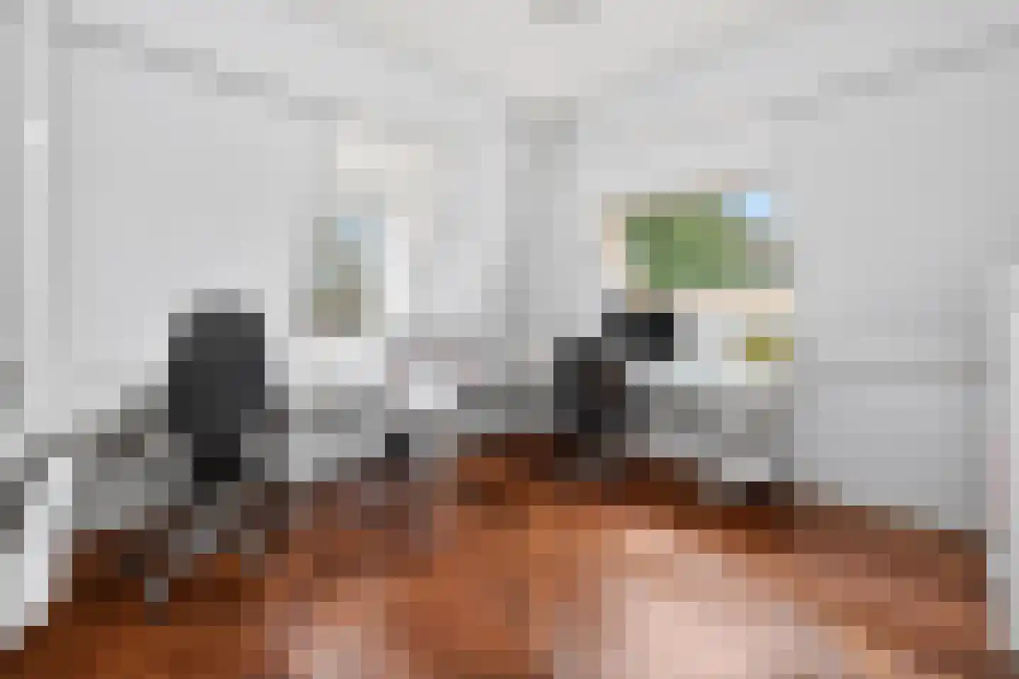 Burgemeester de Wijslaan 6 Brummen thumbnail 38