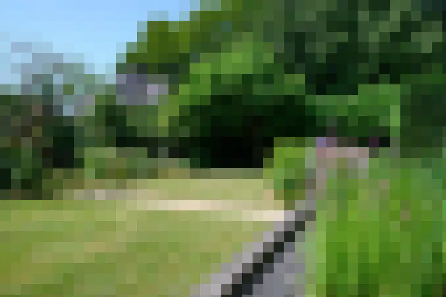 Burgemeester de Wijslaan 6 Brummen thumbnail 4