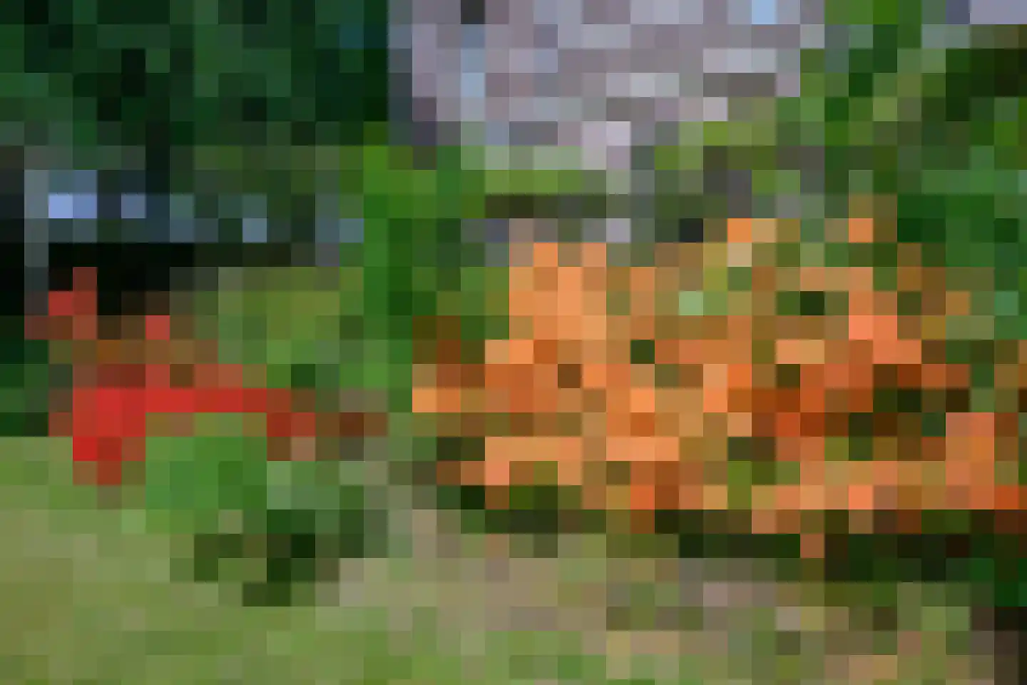 Burgemeester de Wijslaan 6 Brummen thumbnail 49