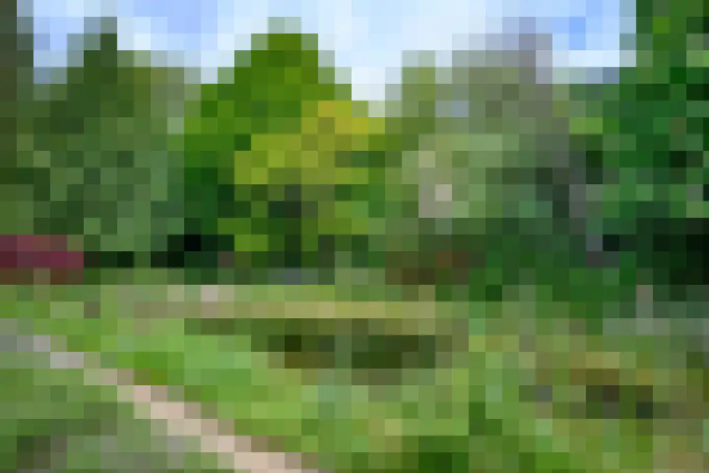 Burgemeester de Wijslaan 6 Brummen thumbnail 52