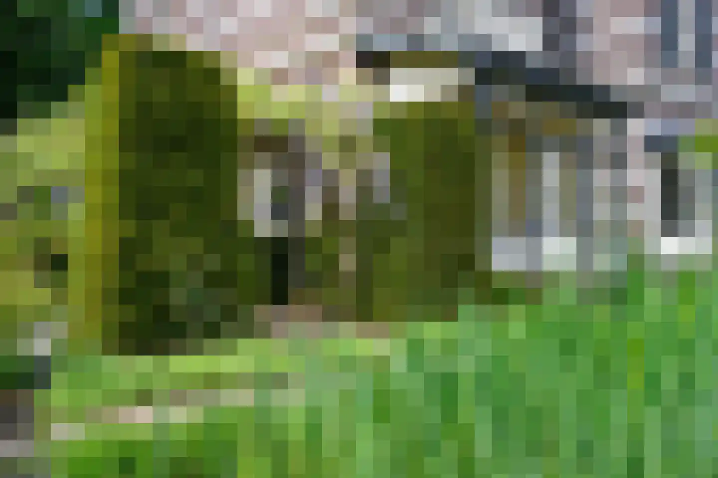 Burgemeester de Wijslaan 6 Brummen thumbnail 53