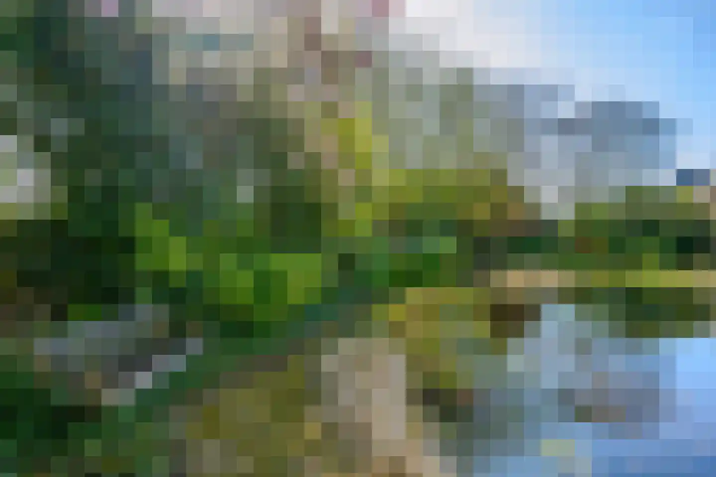 Burgemeester de Wijslaan 6 Brummen thumbnail 54